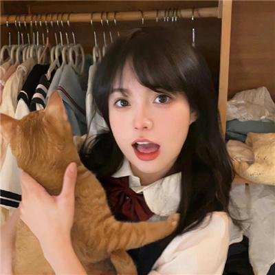 皇帝出京